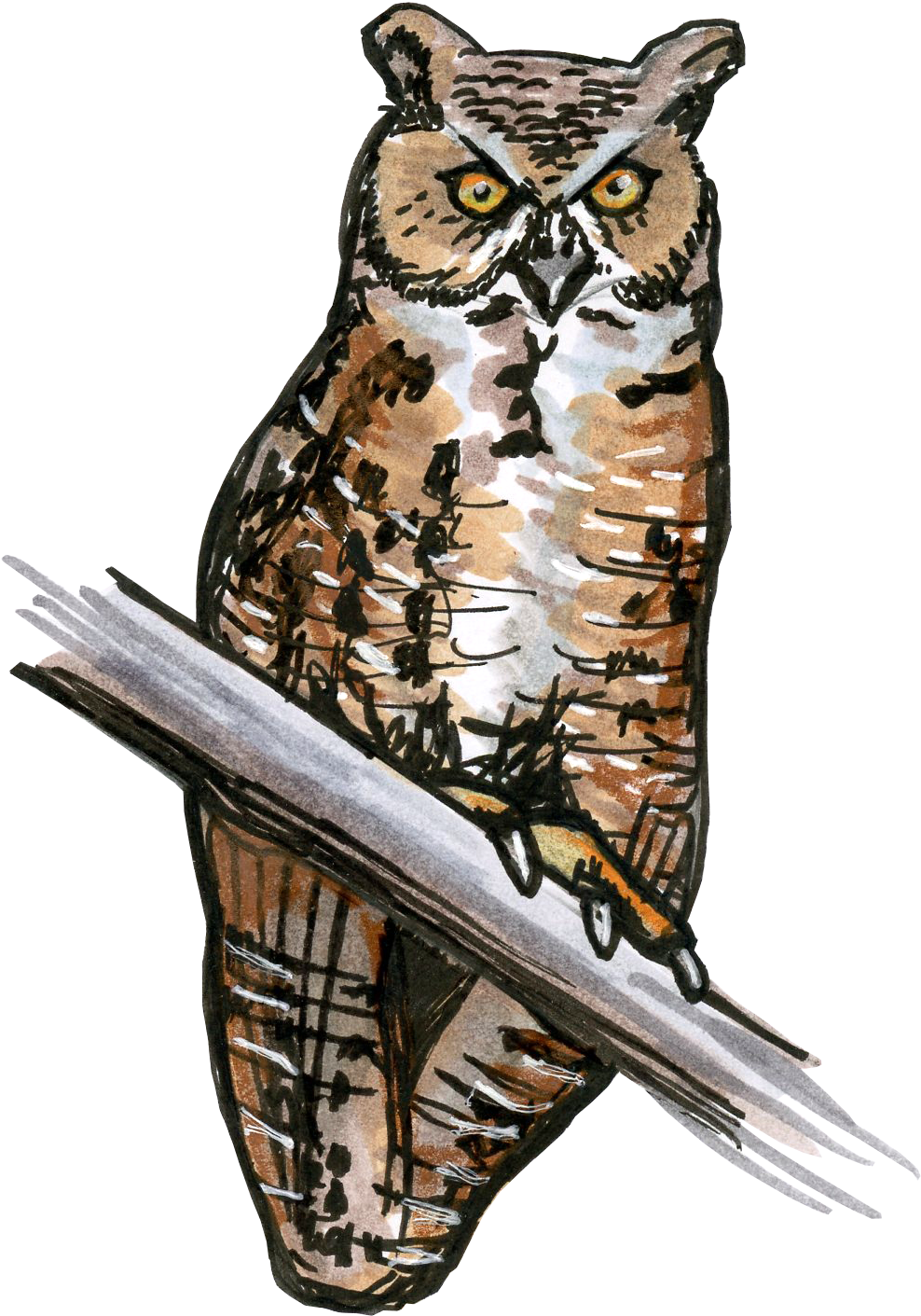 Great_ Horned_ Owl_ Illustration.png