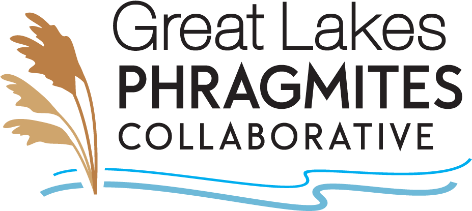 Great Lakes Phragmites Collaborative Logo