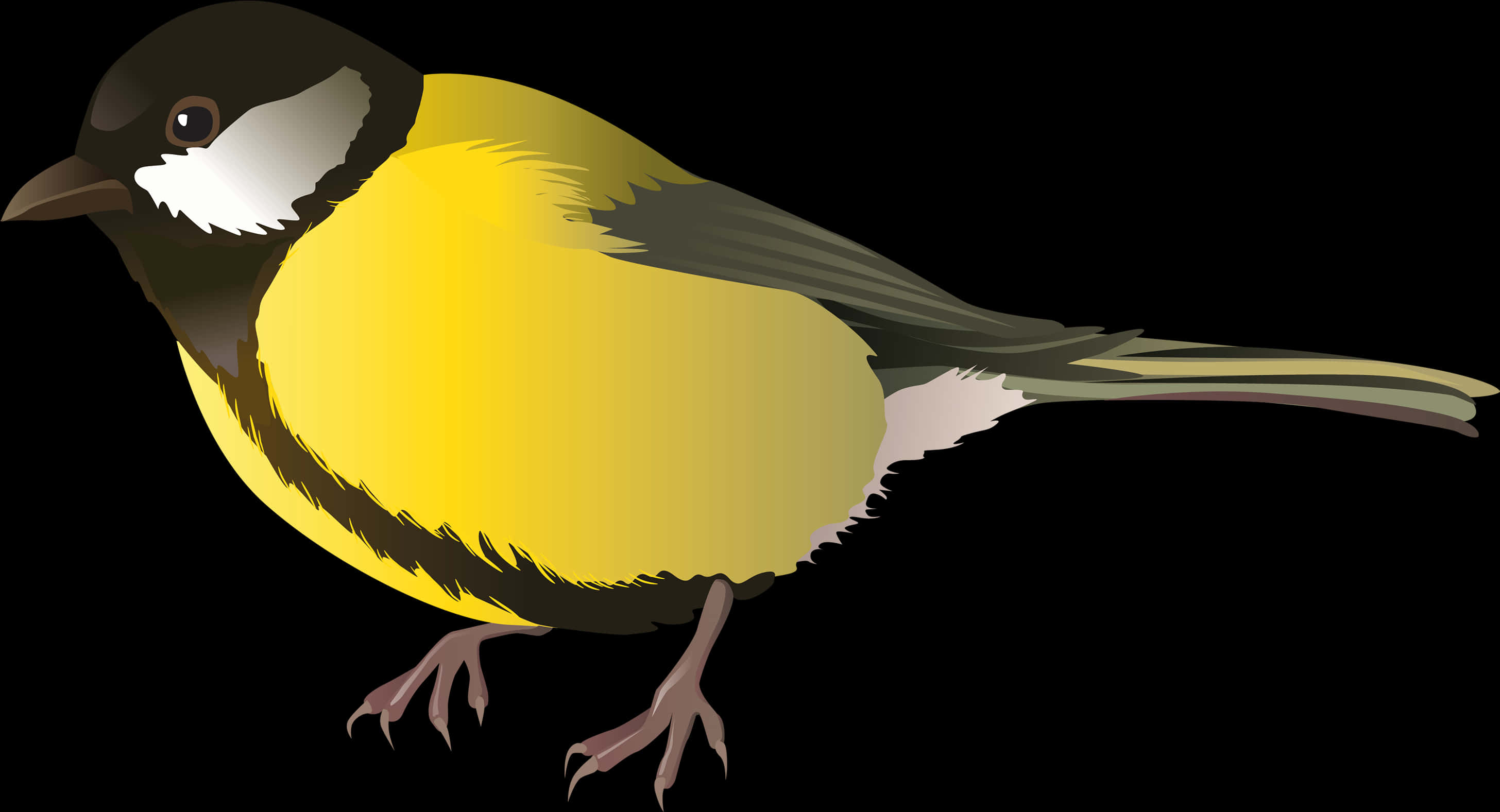 Great_ Tit_ Illustration_ Vector