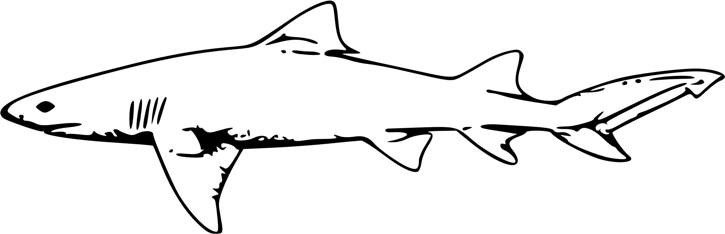 Great White Shark Clipart Shark Outline - Shark Black And White Clipart PNG with transparent background