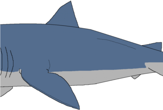 Great White Shark Clipart Sharks And Minnow - Shark Clipart PNG with transparent background