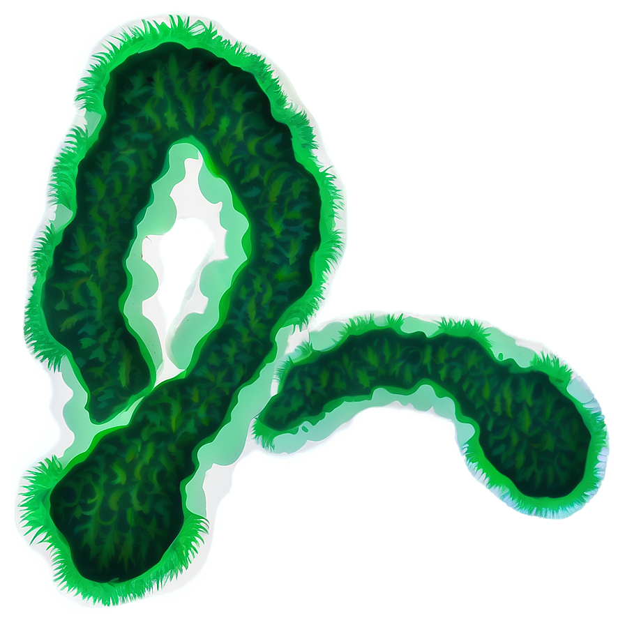 Green Algae Illustration Png 06212024