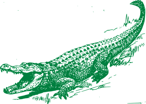 Green Alligator Illustration PNG with transparent background
