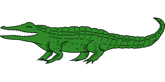 Green Alligator Illustration PNG with transparent background