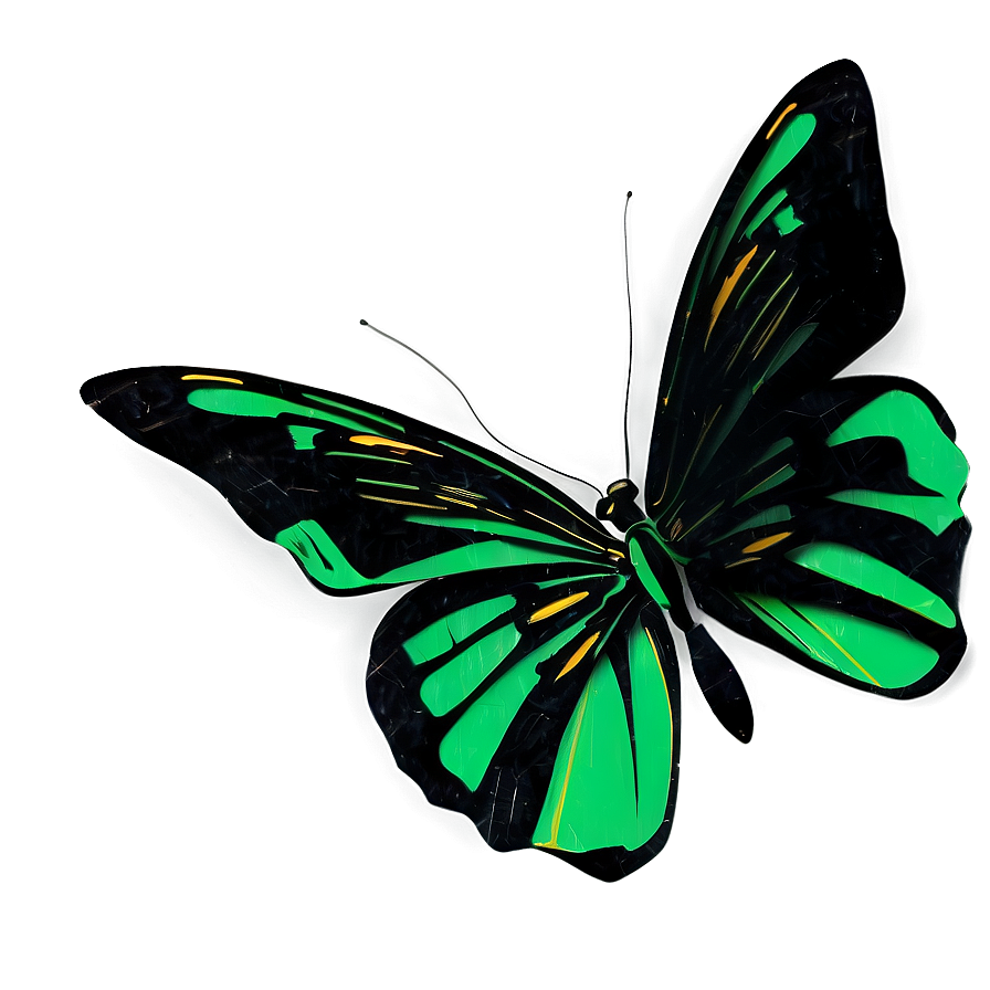 Green And Black Butterfly Design Png 06202024