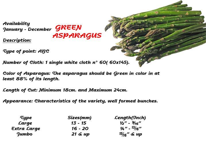 Green Asparagus Product Specifications