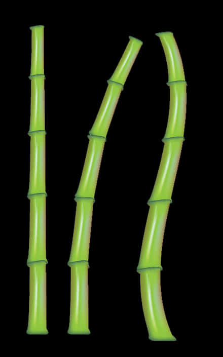 Green Bamboo Stickson Black Background