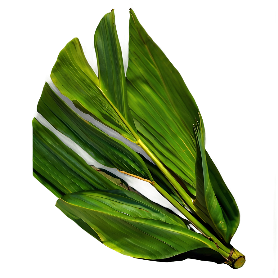 Green Banana Leaf Png 06232024