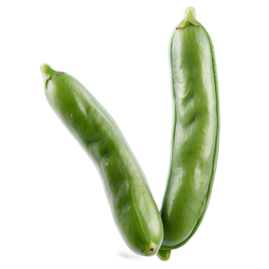 Green Bean Drawing Png 05242024