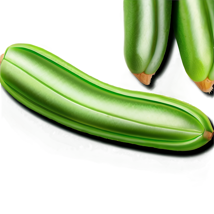 Green Bean Drawing Png 05242024