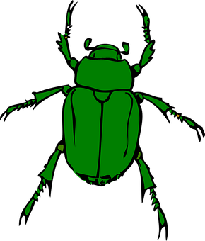 Green Beetle Illustration PNG with transparent background