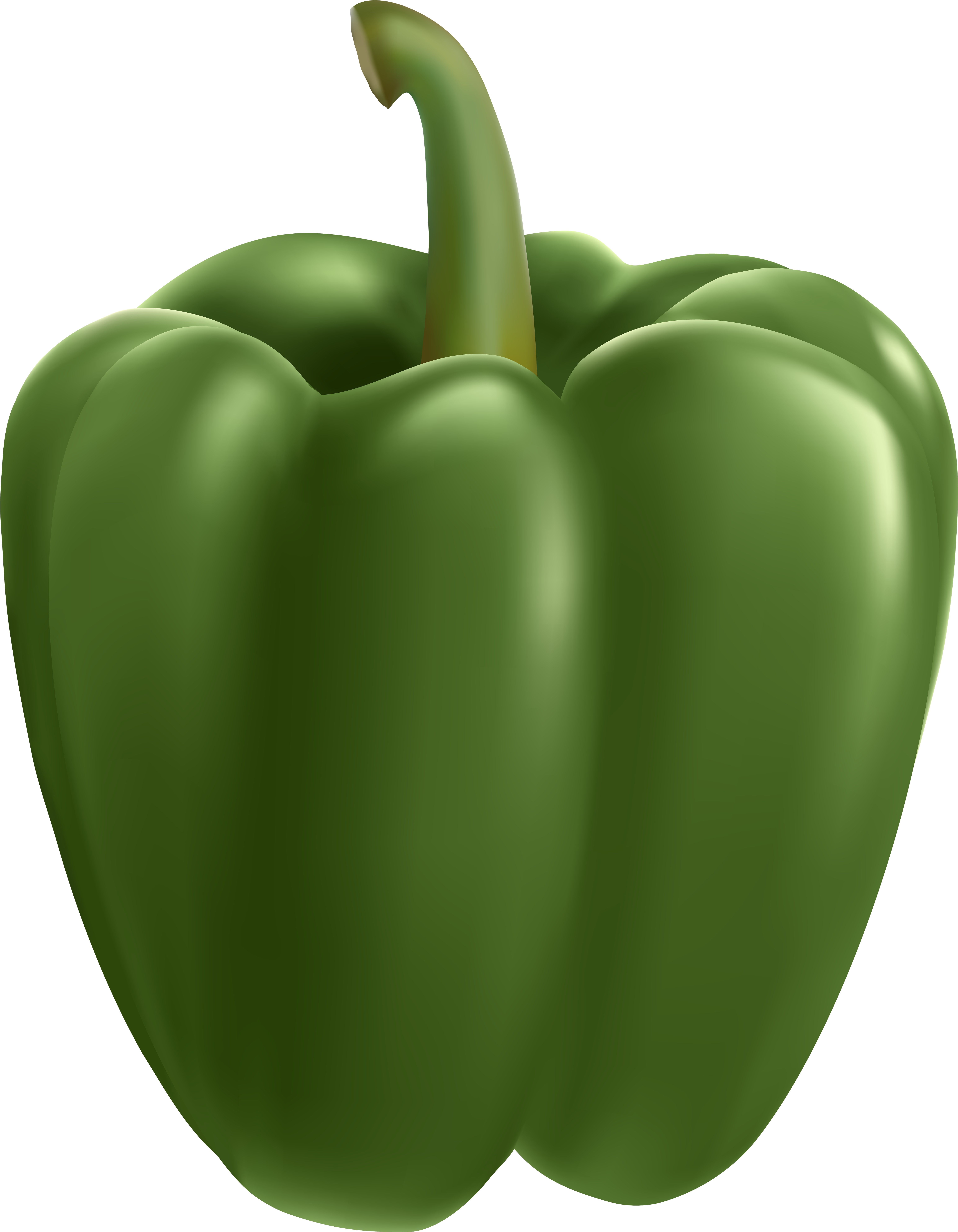 Bell Bell Pepper,bell Peppers And Chili Nutrition,nightshade, HD Png Download PNG with transparent background