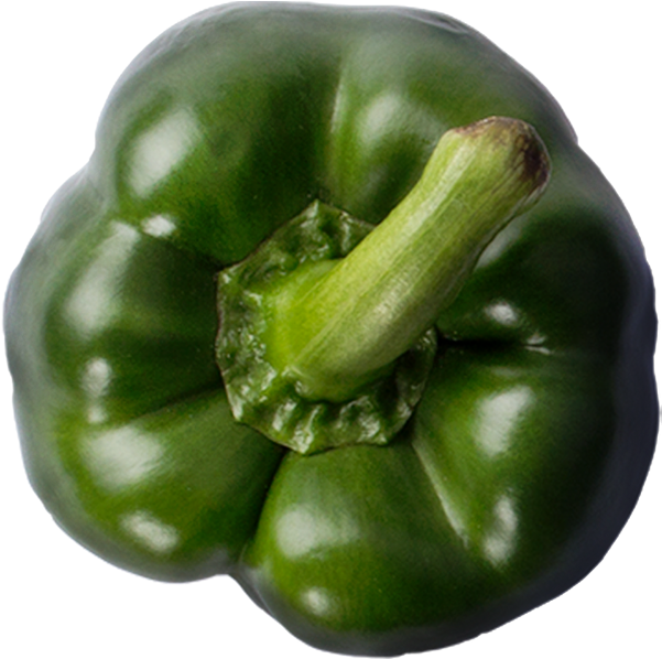 Green Bell Pepper Top View