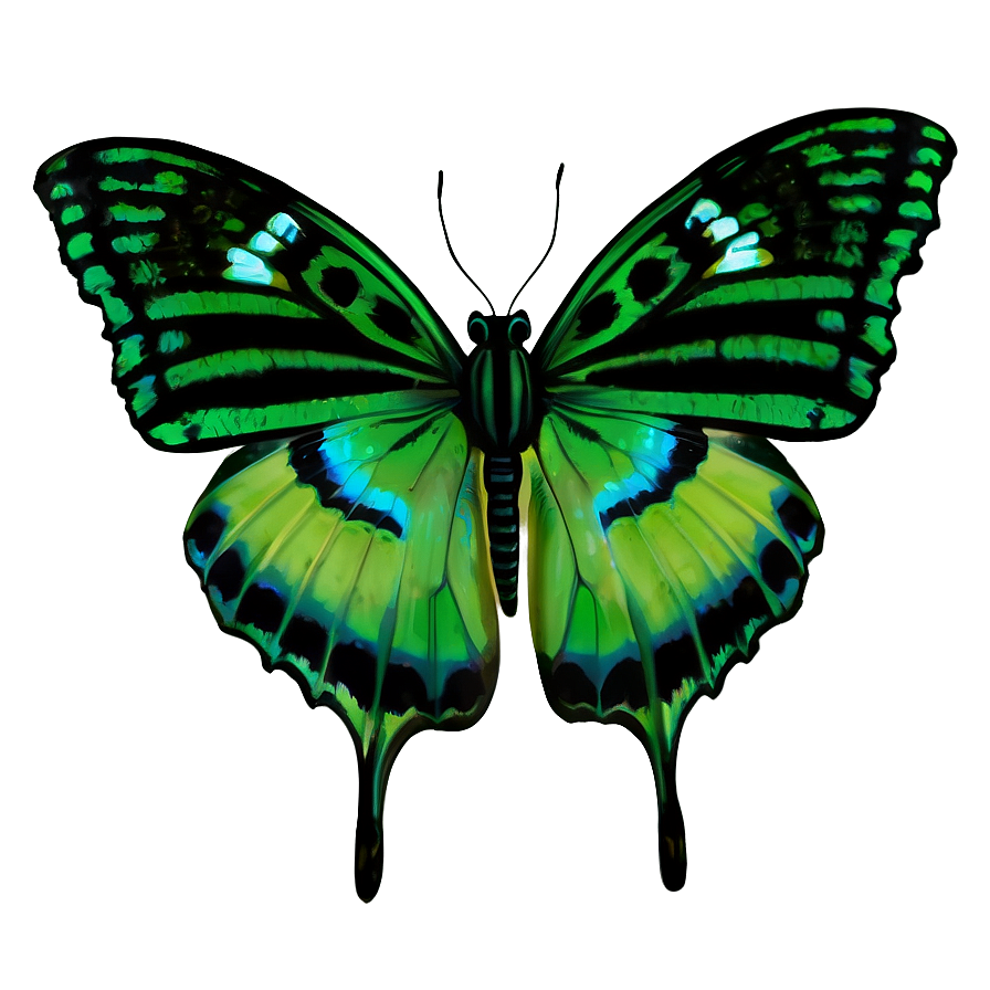 Green Butterfly In Nature Png Bwj