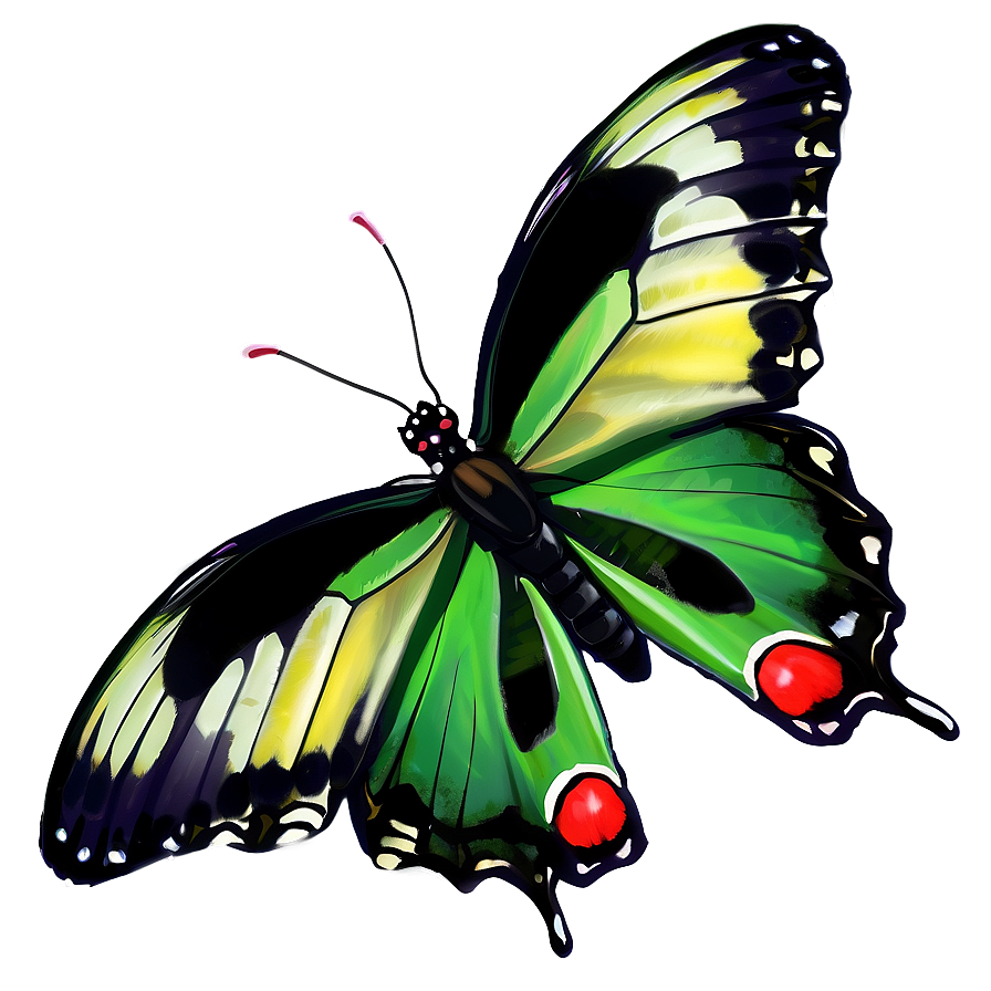 Green Butterfly Landing Png Awa