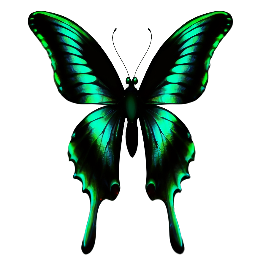 Green Butterfly On White Background Png Sip2