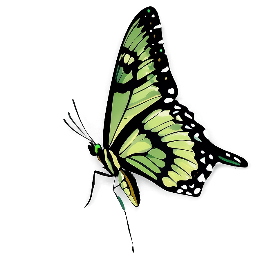 Green Butterfly Png Wpe