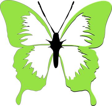 Green Butterfly Silhouette Faces PNG with transparent background