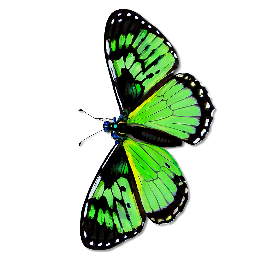 Green Butterfly With Open Wings Png 06202024