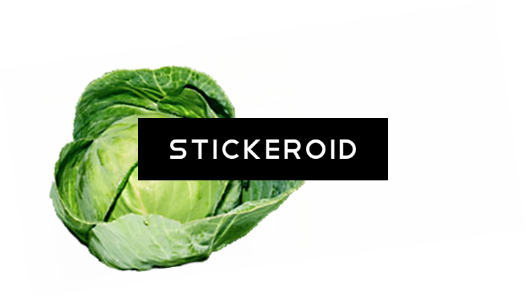 Organic Green Cabbage - Cruciferous Vegetables, HD Png Download PNG with transparent background