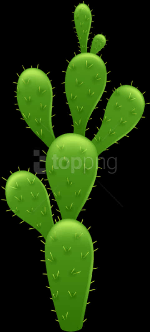 Green Cactus Black Background