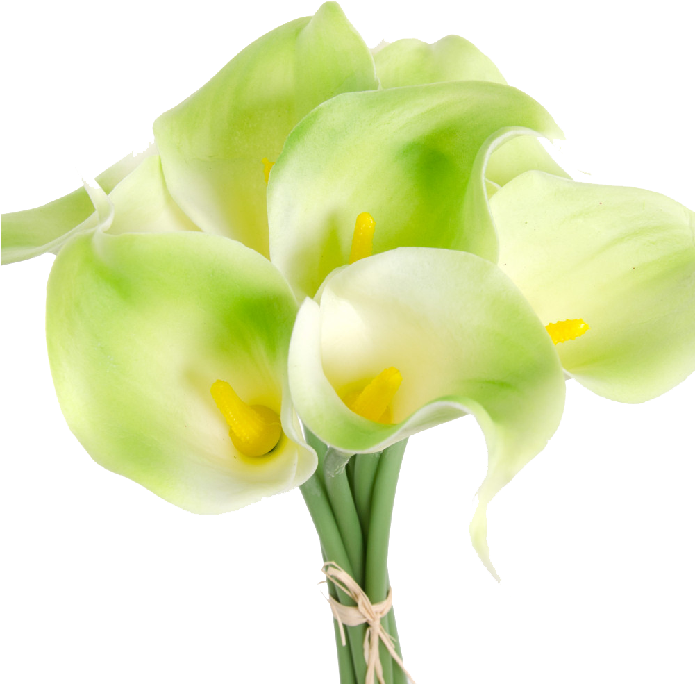 Green Calla Lilies Bouquet