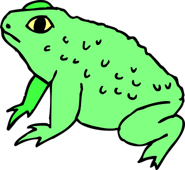 Green Cartoon Frog Illustration PNG with transparent background