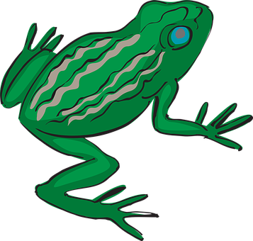 Green Cartoon Frog Illustration PNG with transparent background