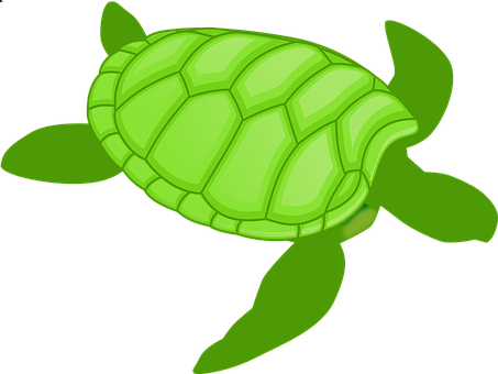 Green Cartoon Turtle Illustration PNG with transparent background