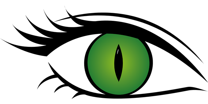 Green Cat Eye Illustration PNG with transparent background