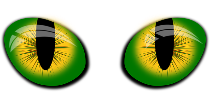 Green Cat Eyes Illustration PNG with transparent background
