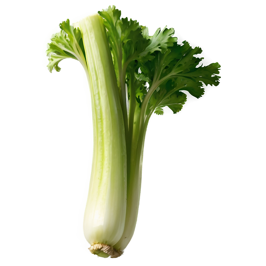 Green Celery Png Alb