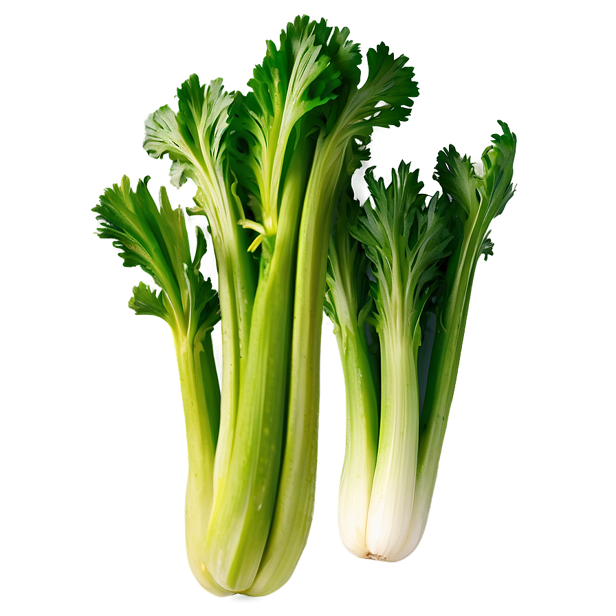 Green Celery Png Utw