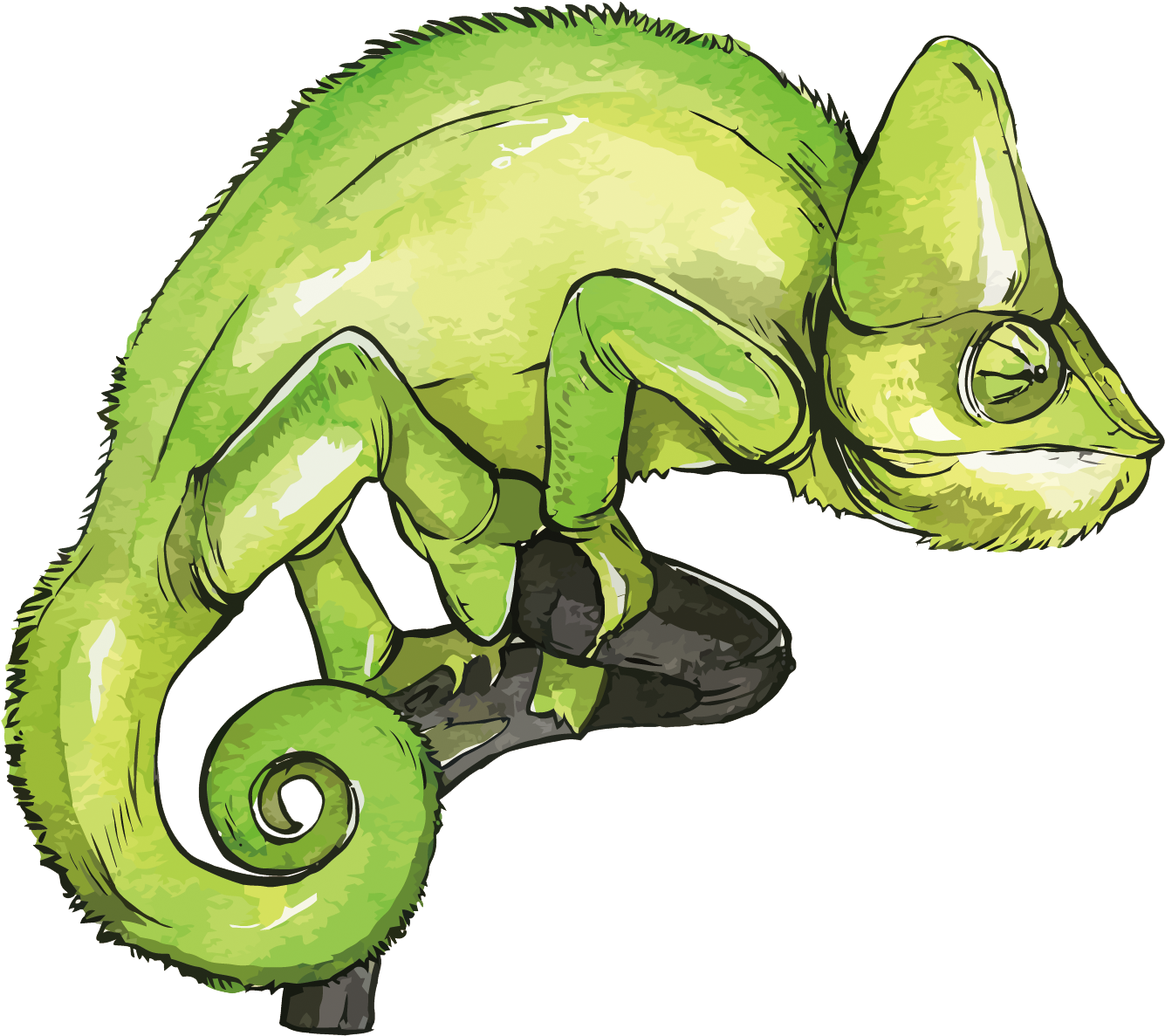 Green Chameleon Illustration