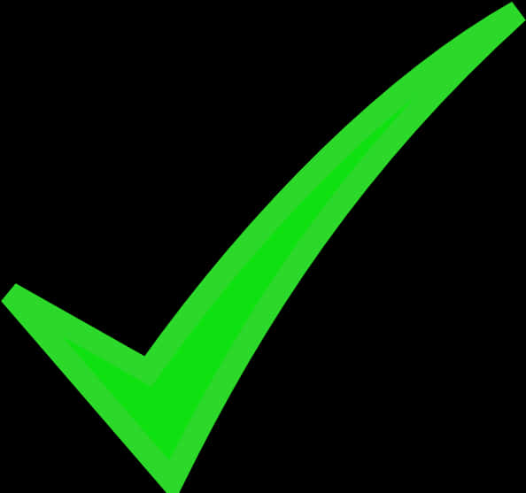 Green Checkmark Graphic