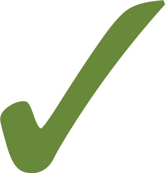 Green Checkmark Graphic