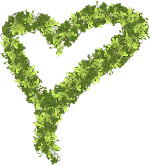 Green Clover Heart Shape