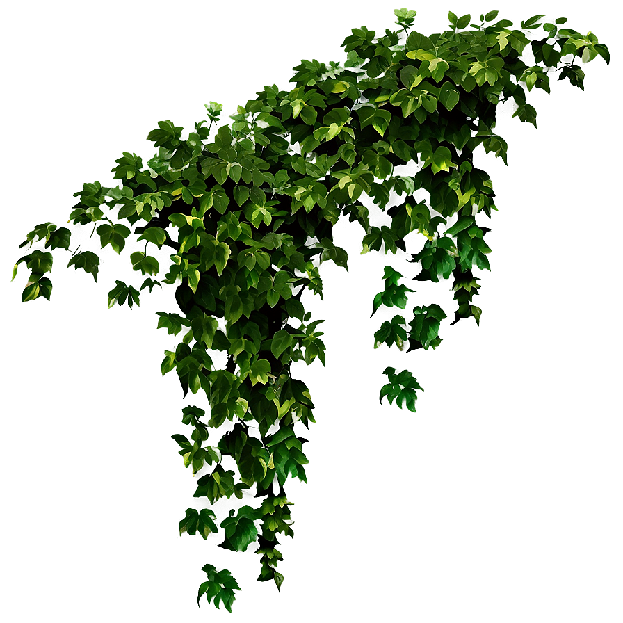 Green Creeper Texture Png 05232024