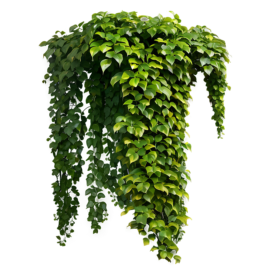 Green Creeper Texture Png Nrv68