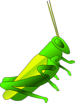 Green Cricket Illustration PNG with transparent background
