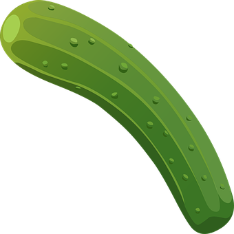 Green Cucumber Illustration PNG with transparent background