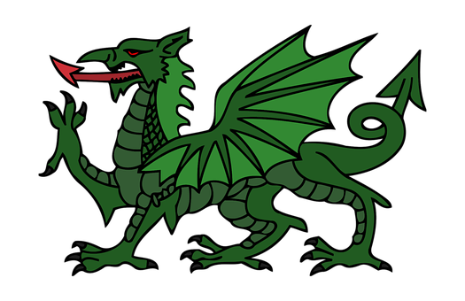 Green Dragon Illustration