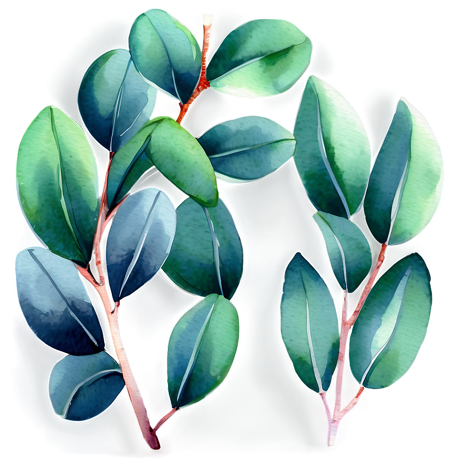 Green Eucalyptus Watercolor Illustration Png 06272024