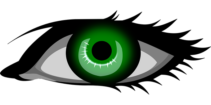 Green Eye Illustration PNG with transparent background