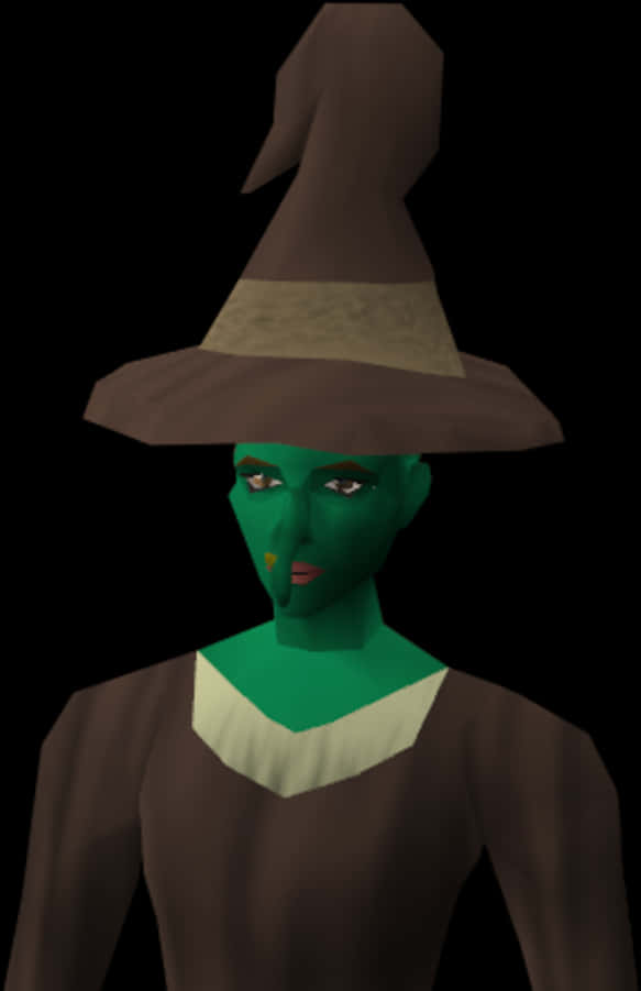 Green Faced Witchwith Hat PNG image with a transparent background, free high-resolution download