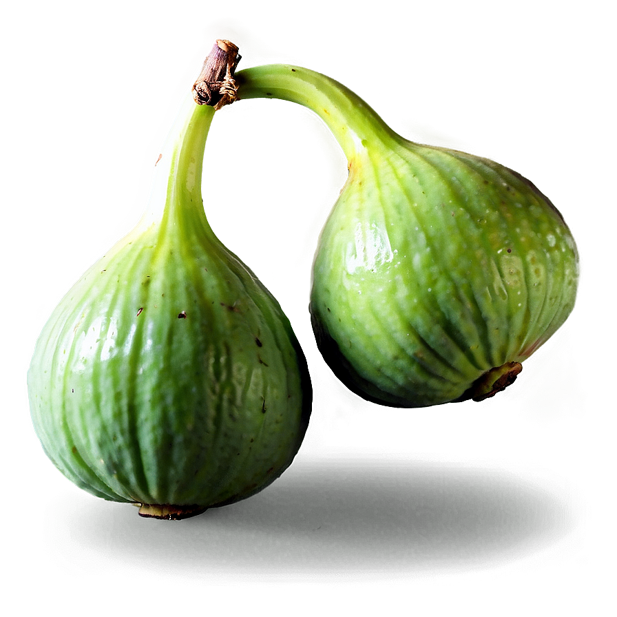 Green Figs Bunch Png 58