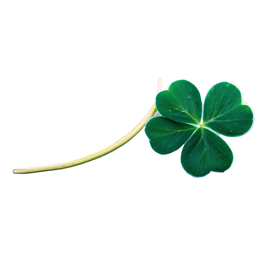 Green Four Leaf Clover PNG 05252024 PNG image with a transparent background, free high-resolution download