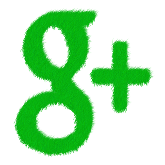 Green Fuzzy Google Plus Logo PNG with transparent background