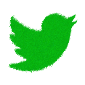 Green Fuzzy Twitter Bird Logo