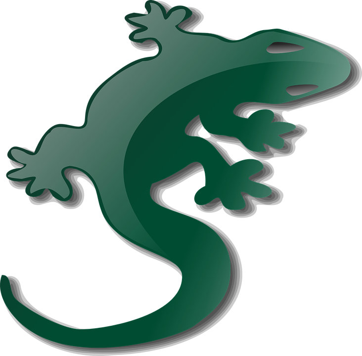 Green Gecko Graphic